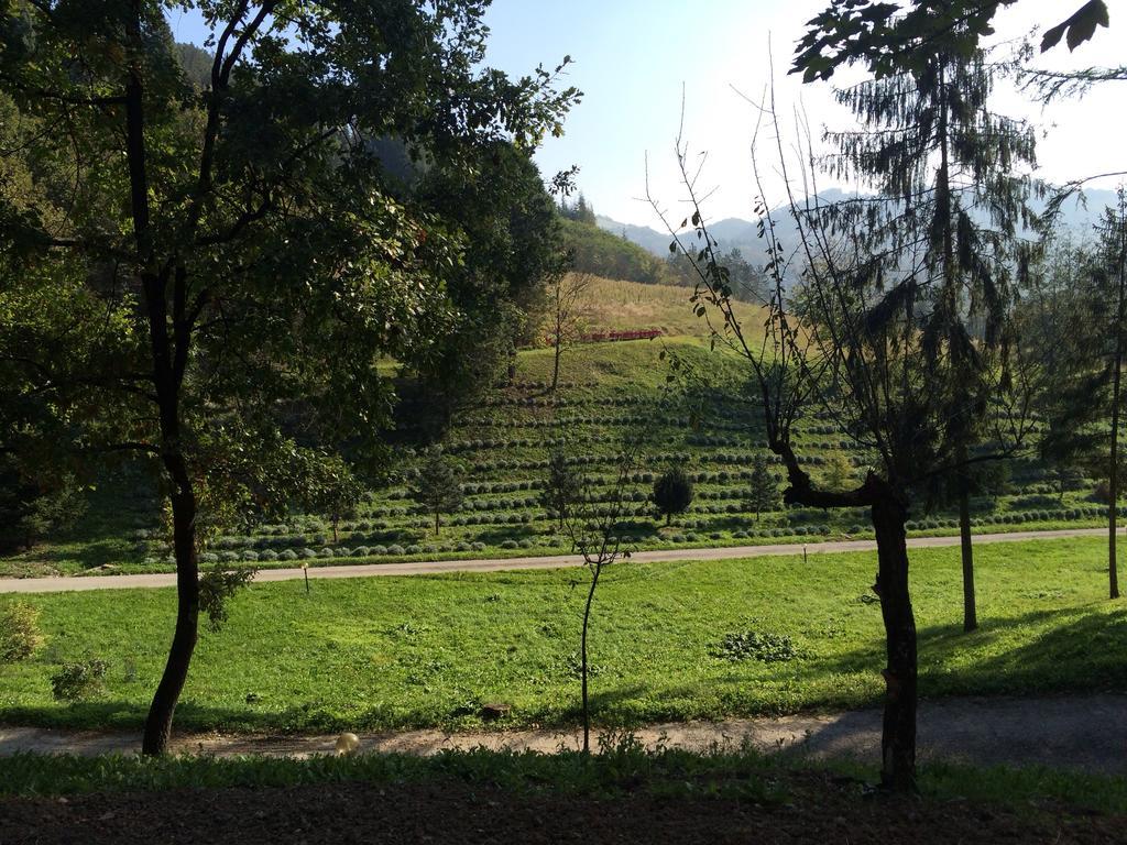 Casa Di Otello Monte San Giovanni  Екстер'єр фото